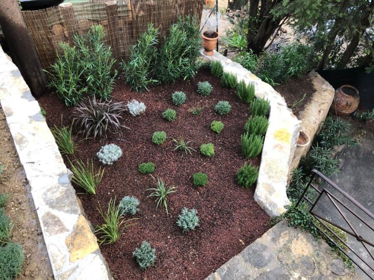 jardin mediaterranee, lavande, thym, romarin, santoline, laurier, phormium